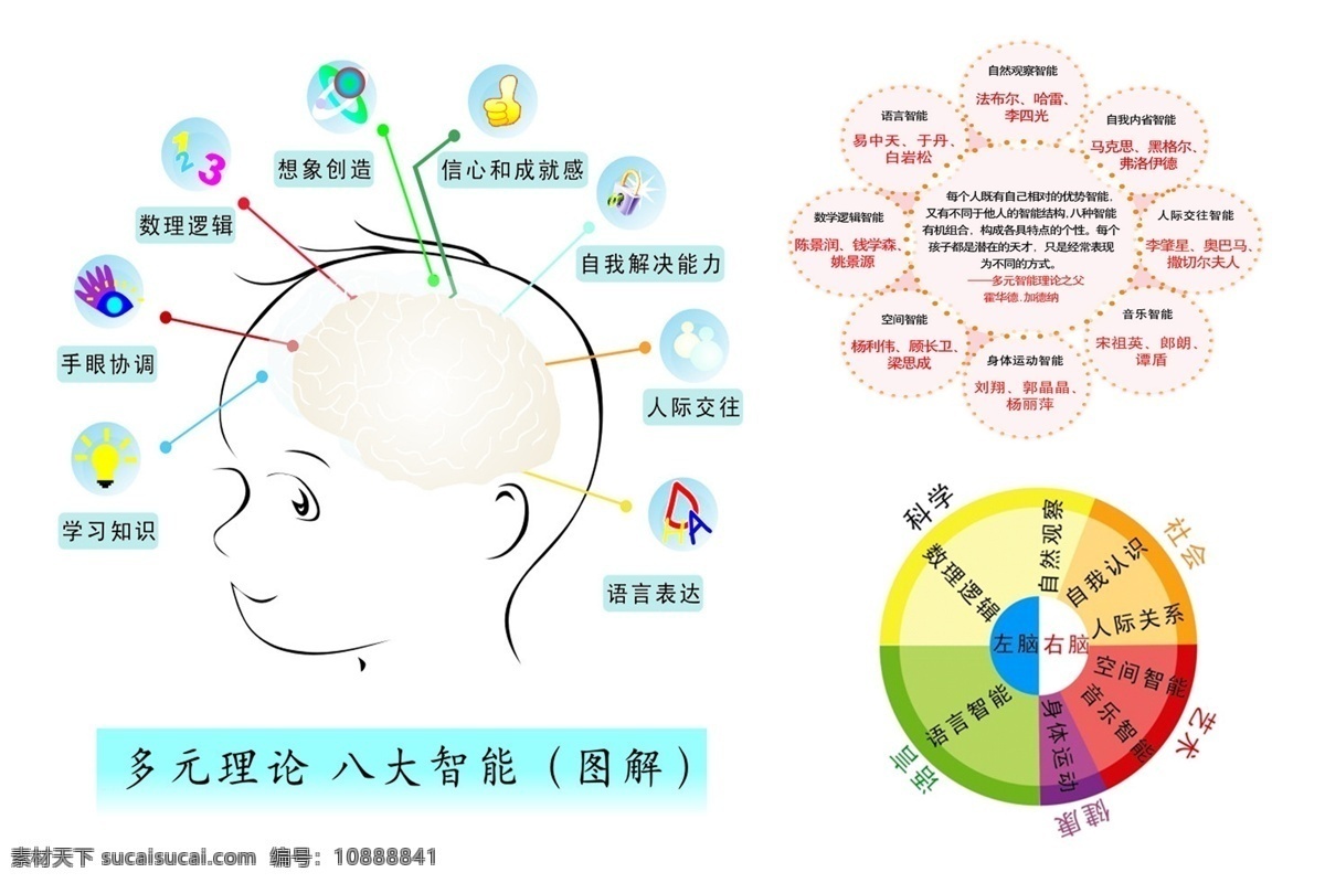 多元图 大脑 功能区 脑部发育 儿童 多元理念 分层