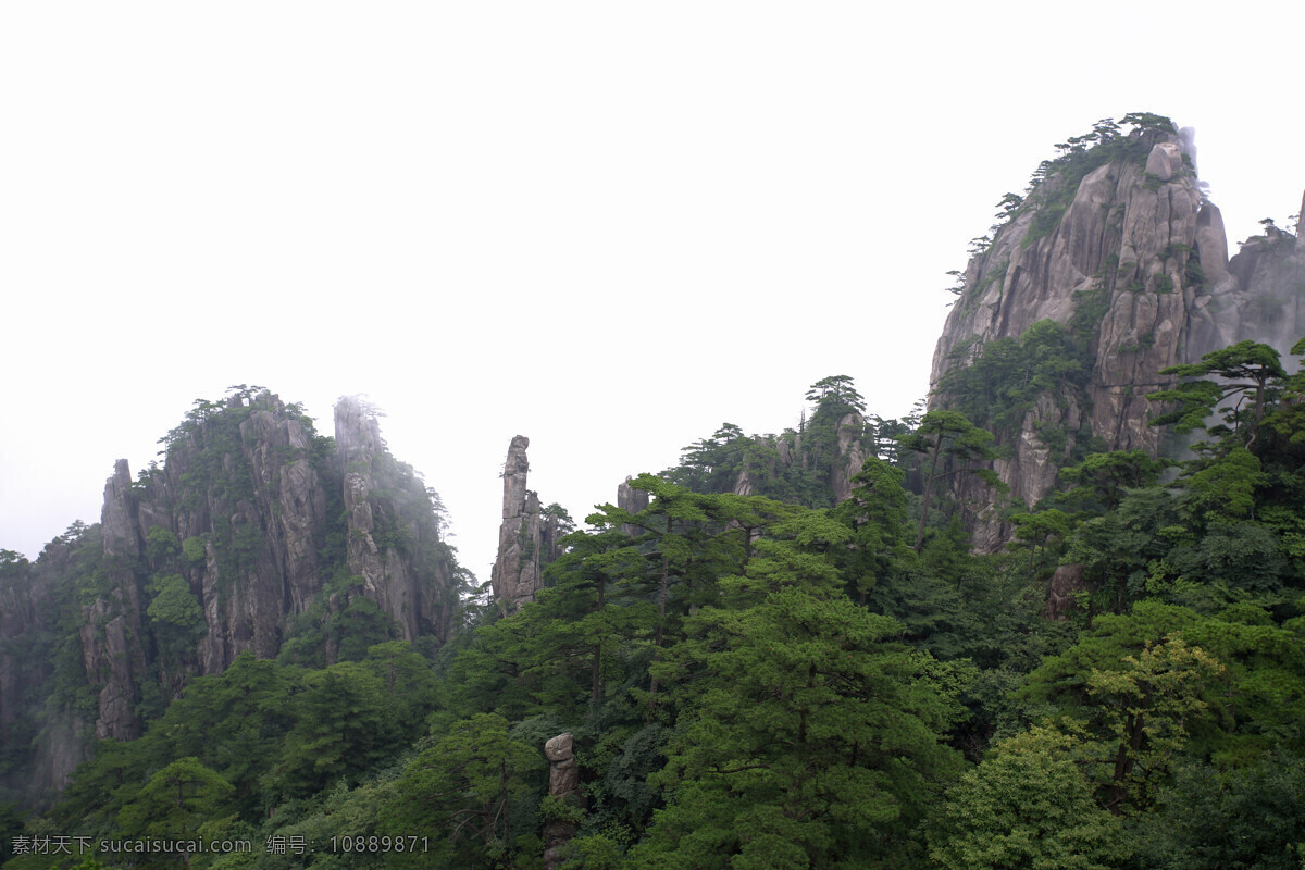 黄山 树林 山峰 安徽省 树木 自然风光 雄伟 壮观 壮丽 仙境 黄山风光 风景 景色 美景 摄影图 旅游 旅游景点 著名景点 风景旅游区 高清图片 风景名胜 风景图片