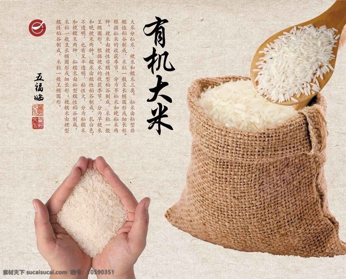 大米 优质大米 东北大米 稻米 米饭 水稻 分层