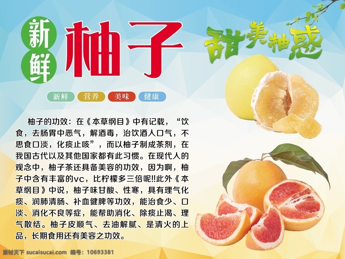 柚子展板 柚子海报 柚子的介绍 柚子的好处
