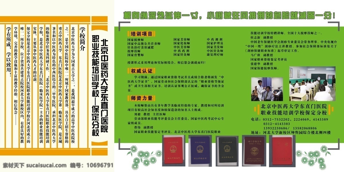 分层 花边 绿色背景 源文件 展板设计 证书 中医 培训 展板 模板下载 中医培训展板 中医培训 其他展板设计