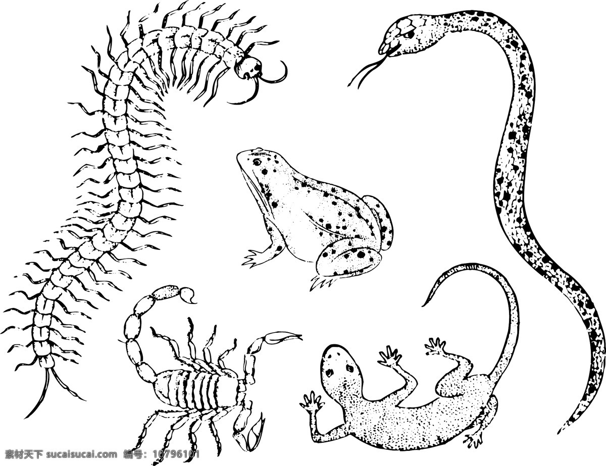 五毒矢量素材 中国 古典 五毒 蛇 蜈蚣 蟾蜍 蝎子 壁虎 矢量素材 野生动物 生物世界 矢量