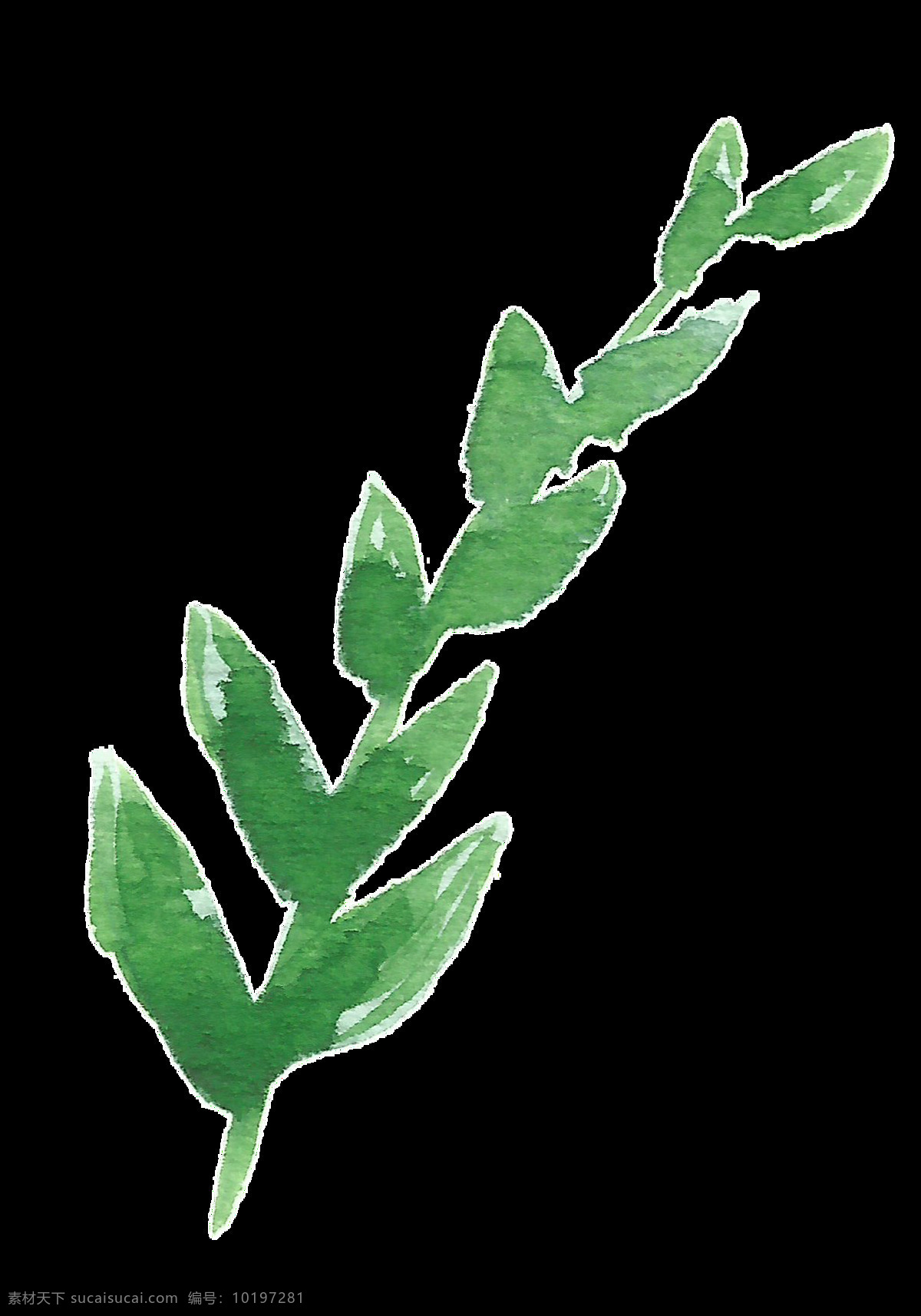 绿色 枝条 卡通 透明 枝叶 树枝 透明素材 免扣素材 装饰图案