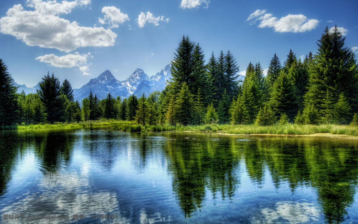 蓝天 白云 森林 风景 蓝色 湖 雪山 山峰 蓝天白云 森林风景 蓝色湖 绿色森林 摄影图 自然景观 自然风景