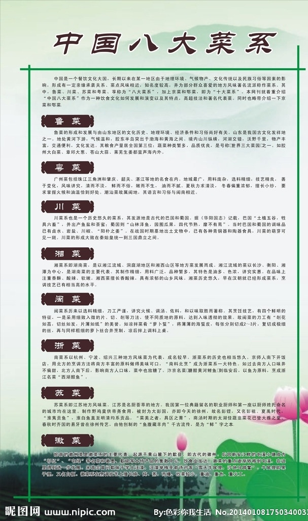 中国八大菜系 营养 餐厅 膳食 平衡 菜系 餐饮美食 生活百科 矢量