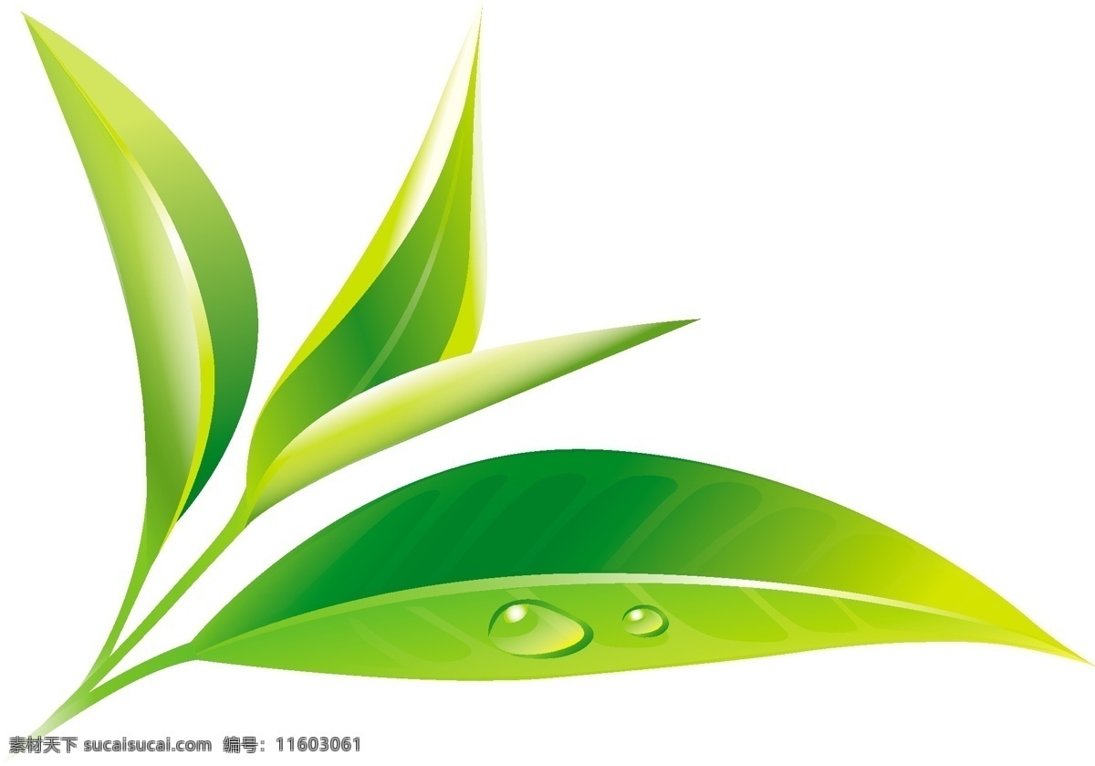 茶叶矢量素材 绿色 健康 高清 源文件 免费素材 广告装饰图案