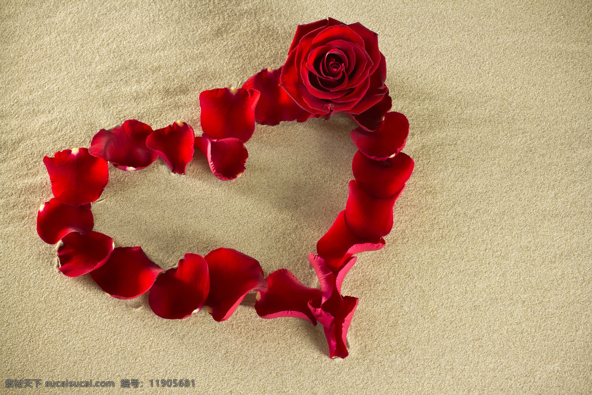 红色 心形 玫瑰花 花瓣 花朵 鲜花 爱心 桃心 求婚场景 沙滩 沙子 其他类别 生活百科