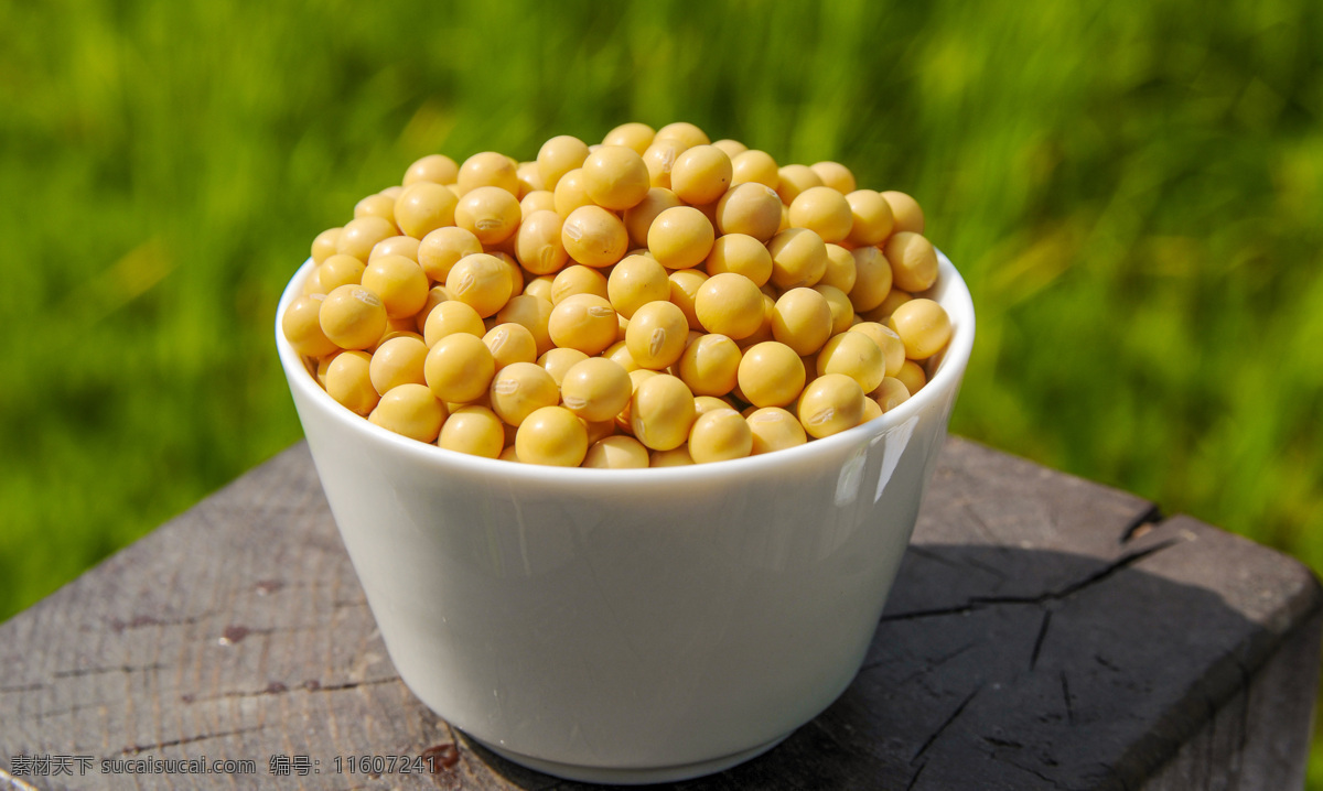 精品黄豆 黄豆 优质 特产 五谷杂粮 豆类 天然 餐饮美食 食物原料