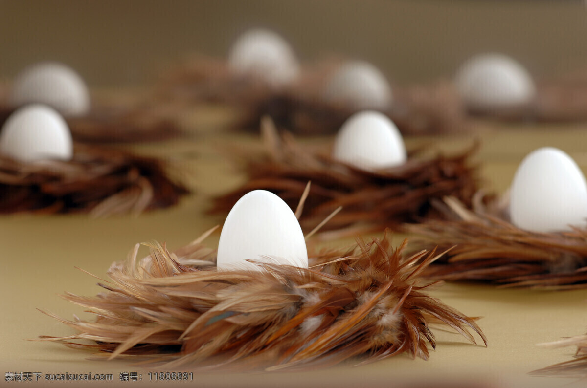 羽毛 鸡蛋 蛋类 复活节素材 鸡蛋摄影 食材原料 餐饮美食