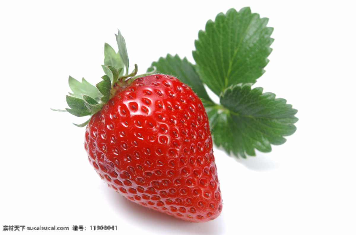 新鲜 草莓 新鲜草莓 红色草莓 健康果实 绿色水果 有机食品 有机水果 新鲜水果 草莓高清图片 摄影素材 水果 水果蔬菜 美食文化 蔬菜图片 餐饮美食