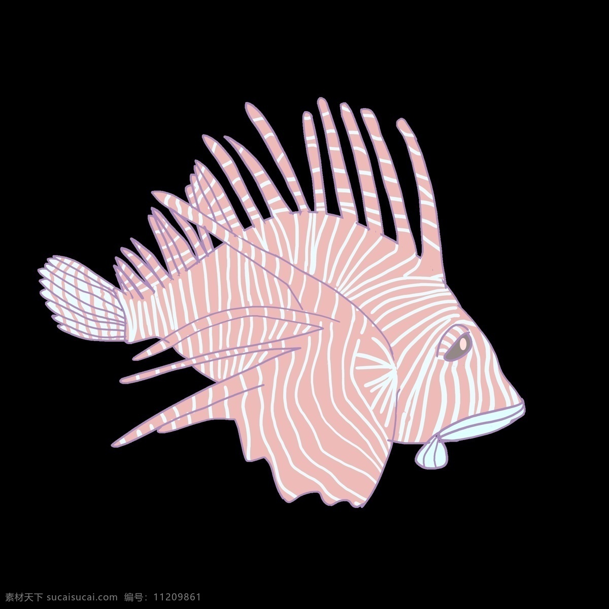 海洋生物鱼类 鱼 粉色鱼 海洋
