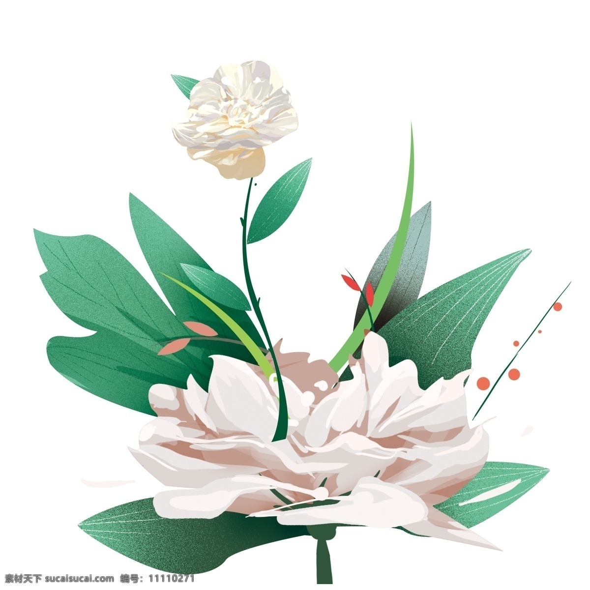 淡 粉色 花卉 手绘 透明 水彩 免 扣 花朵 透明素材 卡通素材