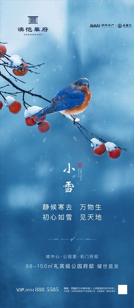 中国 风 小雪 单 图 中国风 小鸟 新中式 单图 枝头的小鸟 雪 节日节气单图