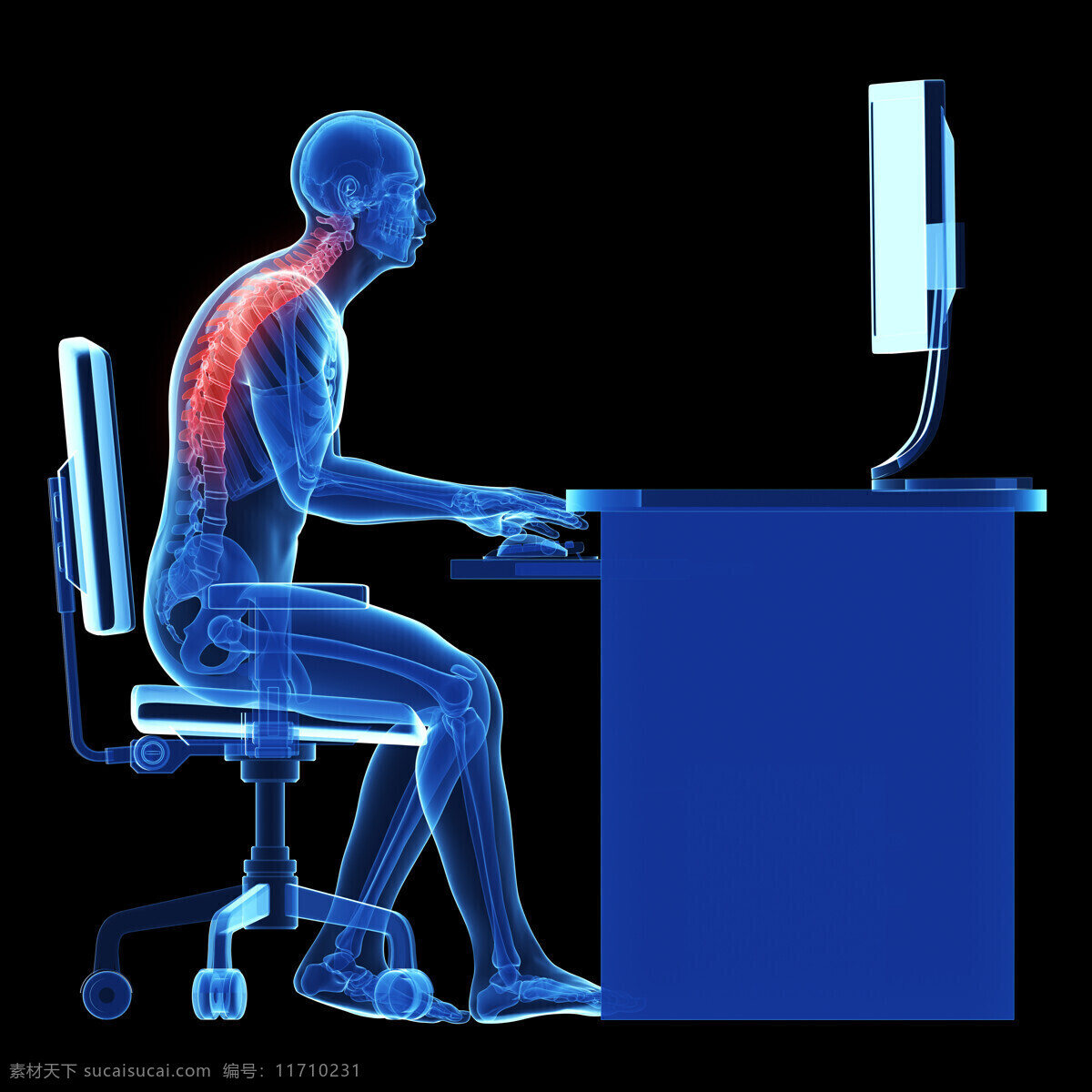 工作 中 男性 脊柱 骨骼 变形 工作中的男性 男性骨骼器官 脊柱器官 脊柱骨骼变形 男性人体器官 医疗科学 医学 医疗护理 现代科技