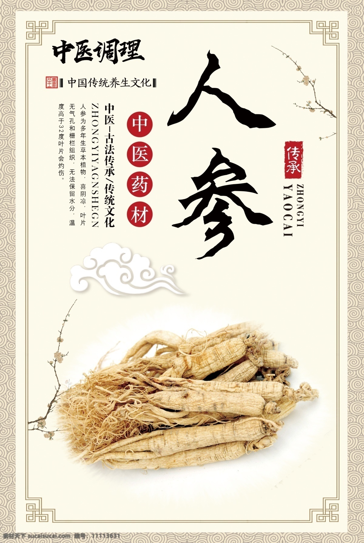 中药 药材 系列 展板 中药养生 中药材 当归 三七 人人参 枸杞 中医文化 分层