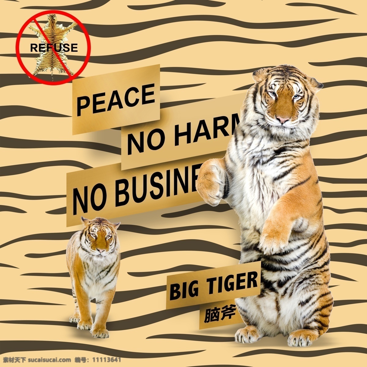 大老虎 虎纹 虎斑 大脑斧 野生动物 保护老虎 保护动物 动物海报 老虎海报 禁止