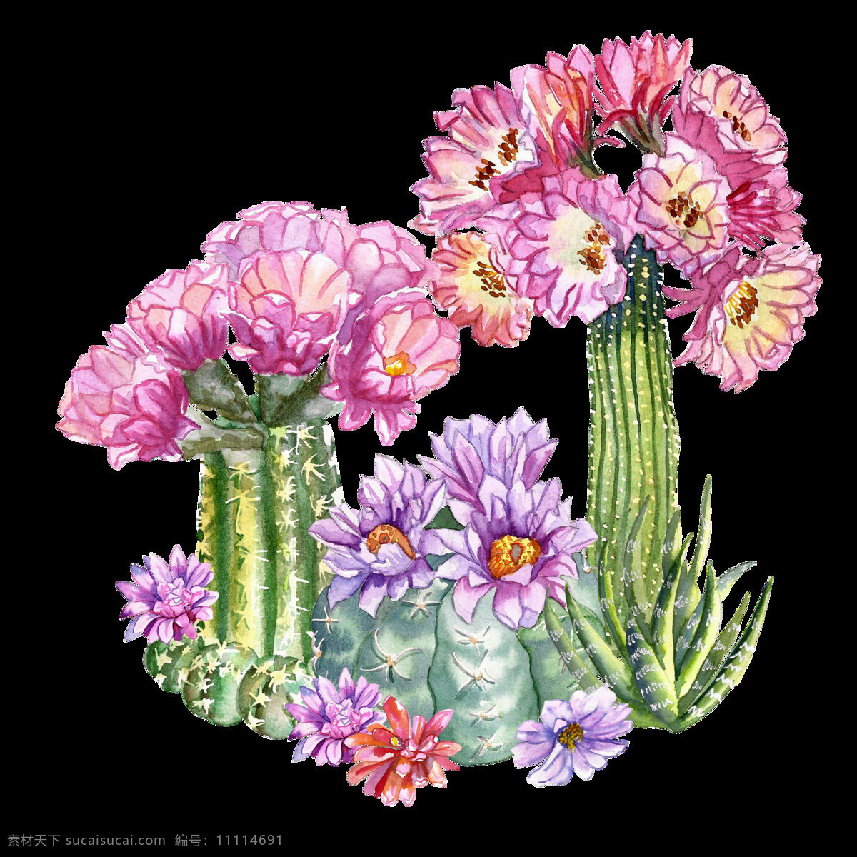 热带 花卉 透明 装饰 设计素材 背景素材