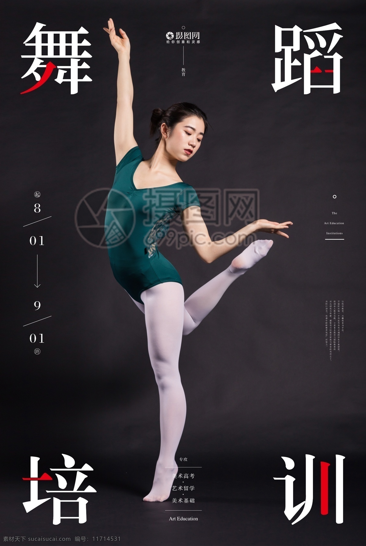 简约 舞蹈 培训 海报 创意 形体 教育 舞姿 舞蹈培训 培训招生
