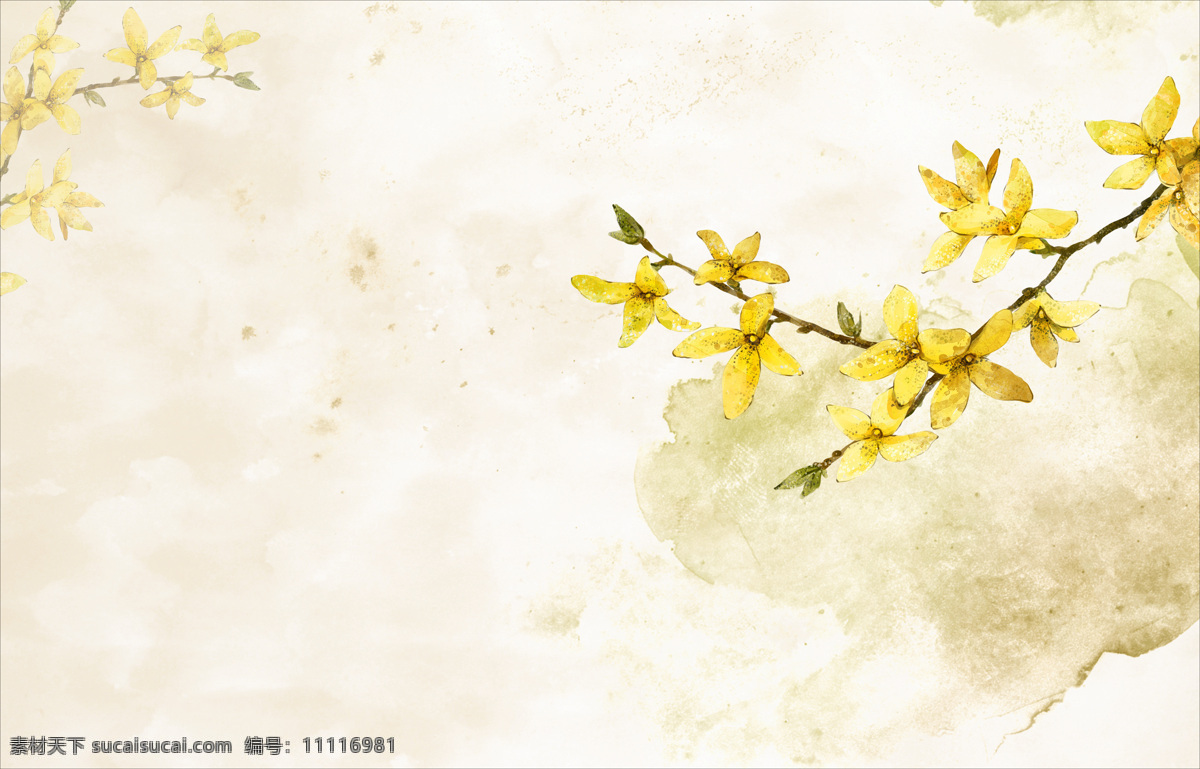 黄色花儿 花朵 黄色 树枝 花儿 木槿花 设计之家 生物世界 花草