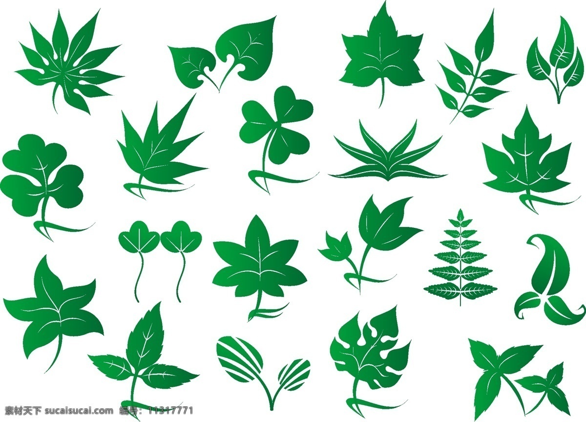 清新 绿色 叶子 图标 元素 时尚 植物 形态