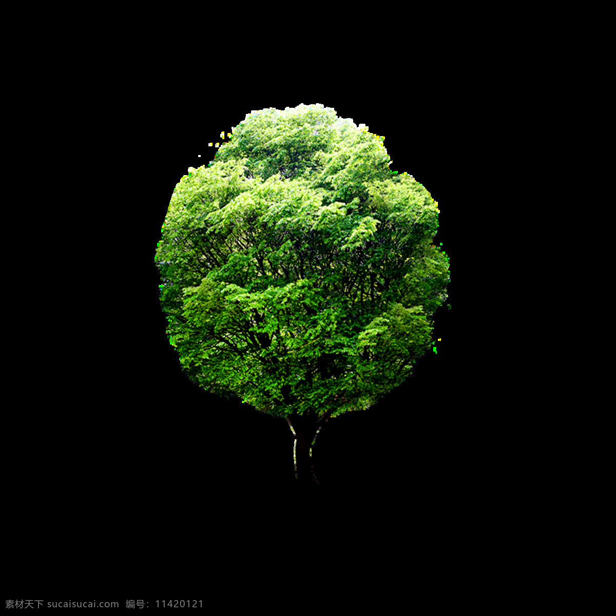 绿色 清新 大树 元素 手绘 树叶 圆形 环保