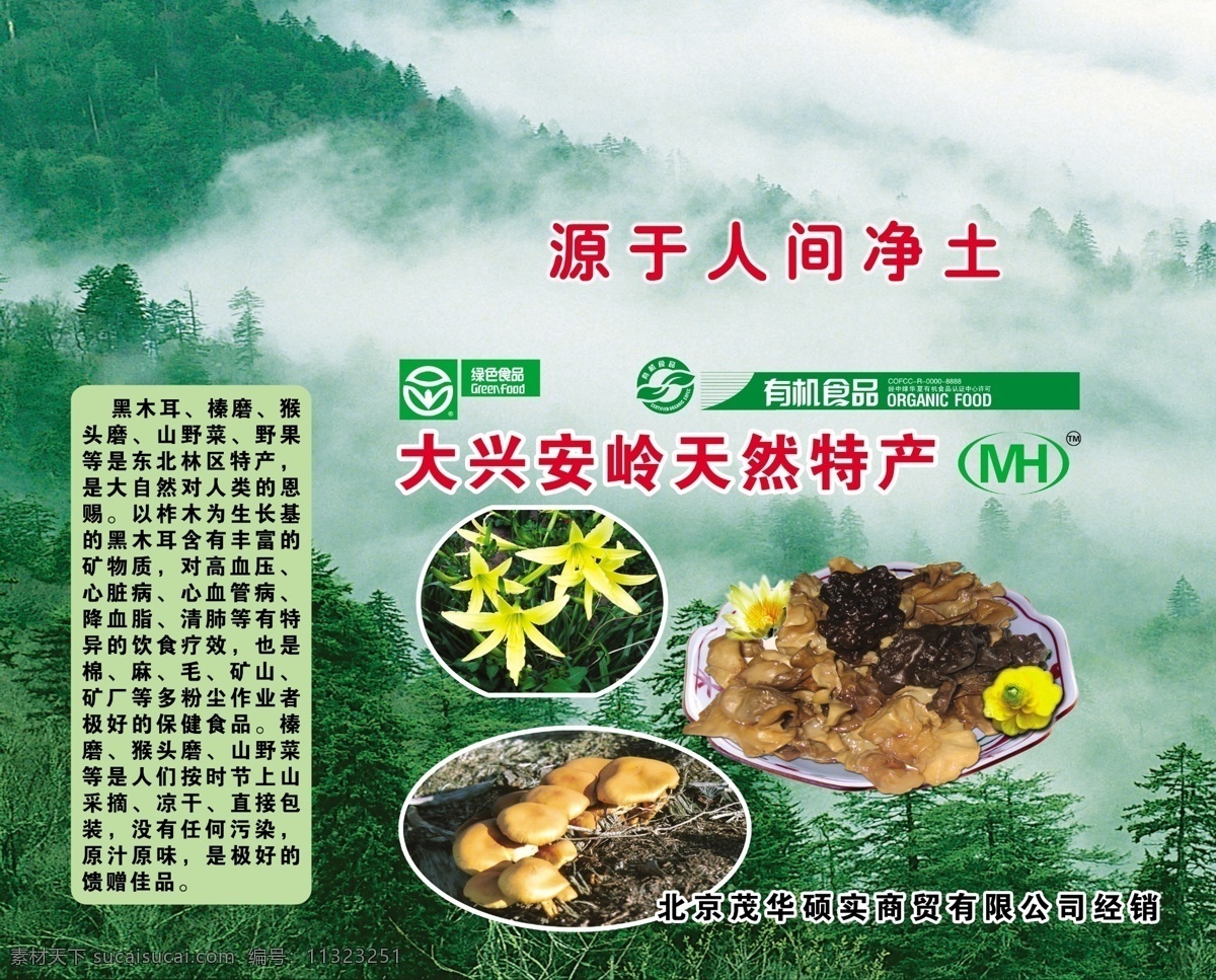 蘑菇 菌类 大兴安岭 土特产 食用菌 包装设计