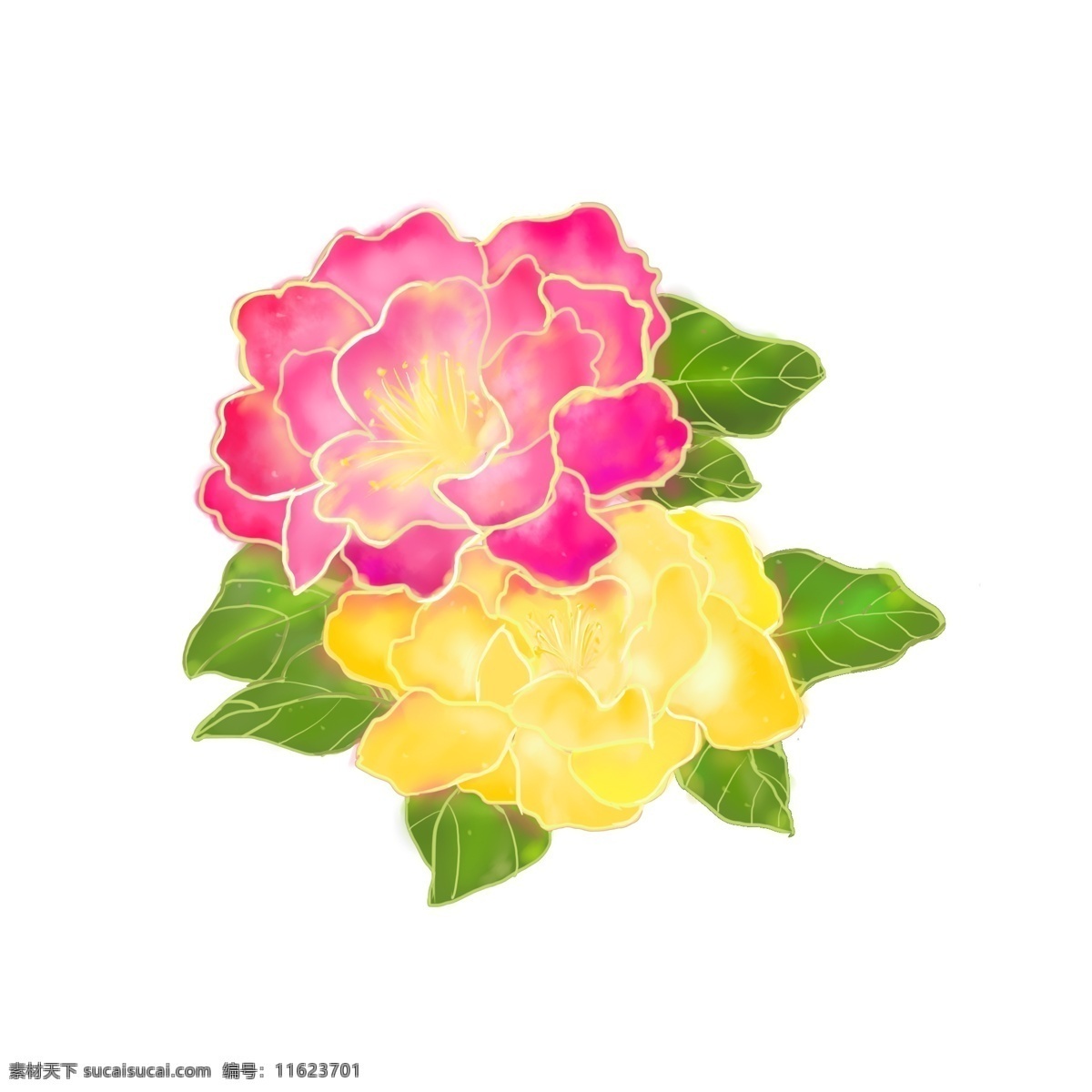 手绘 红色 黄色 牡丹花 植物 叶子 红色牡丹 黄色牡丹 花