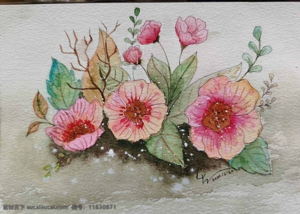 水彩花卉图片 水彩 手绘 花朵 淡雅 插画 动漫动画