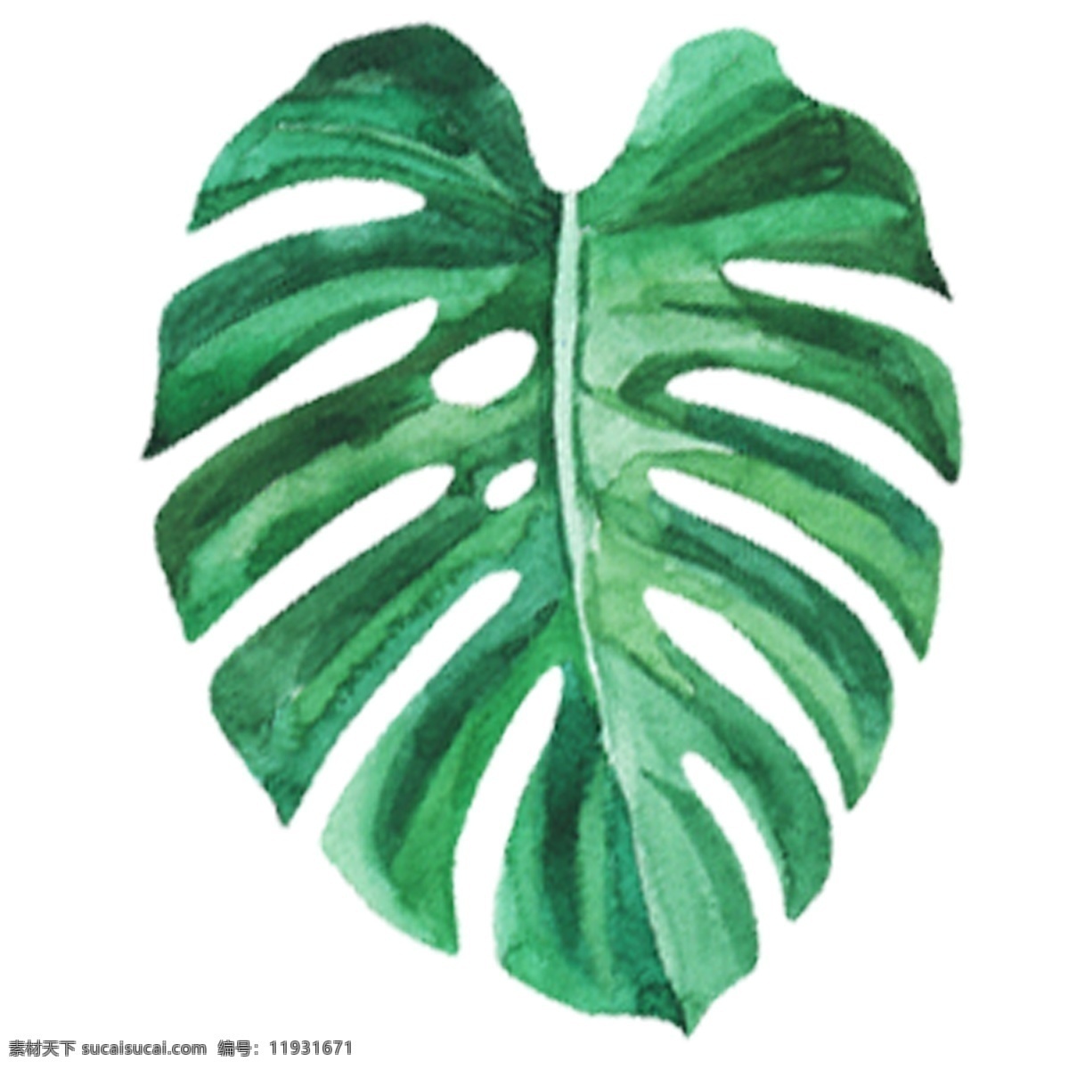 手绘 漂亮 水彩 绿叶 绿色 树叶 叶子 装饰素材