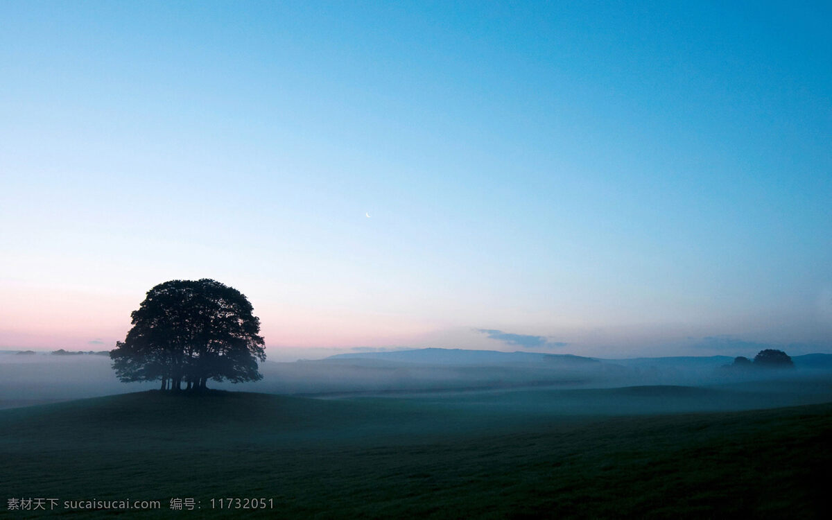 早晨 雾 天边 树 唯美 意境 树木 背景图片