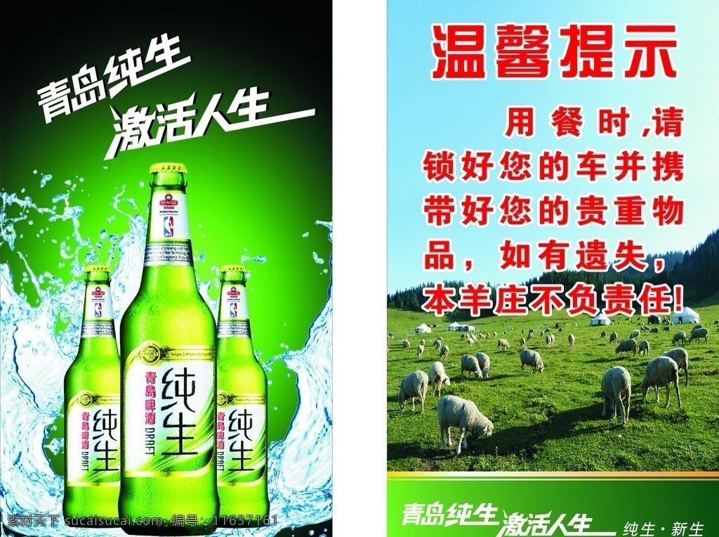 青岛纯生 啤酒 矢量
