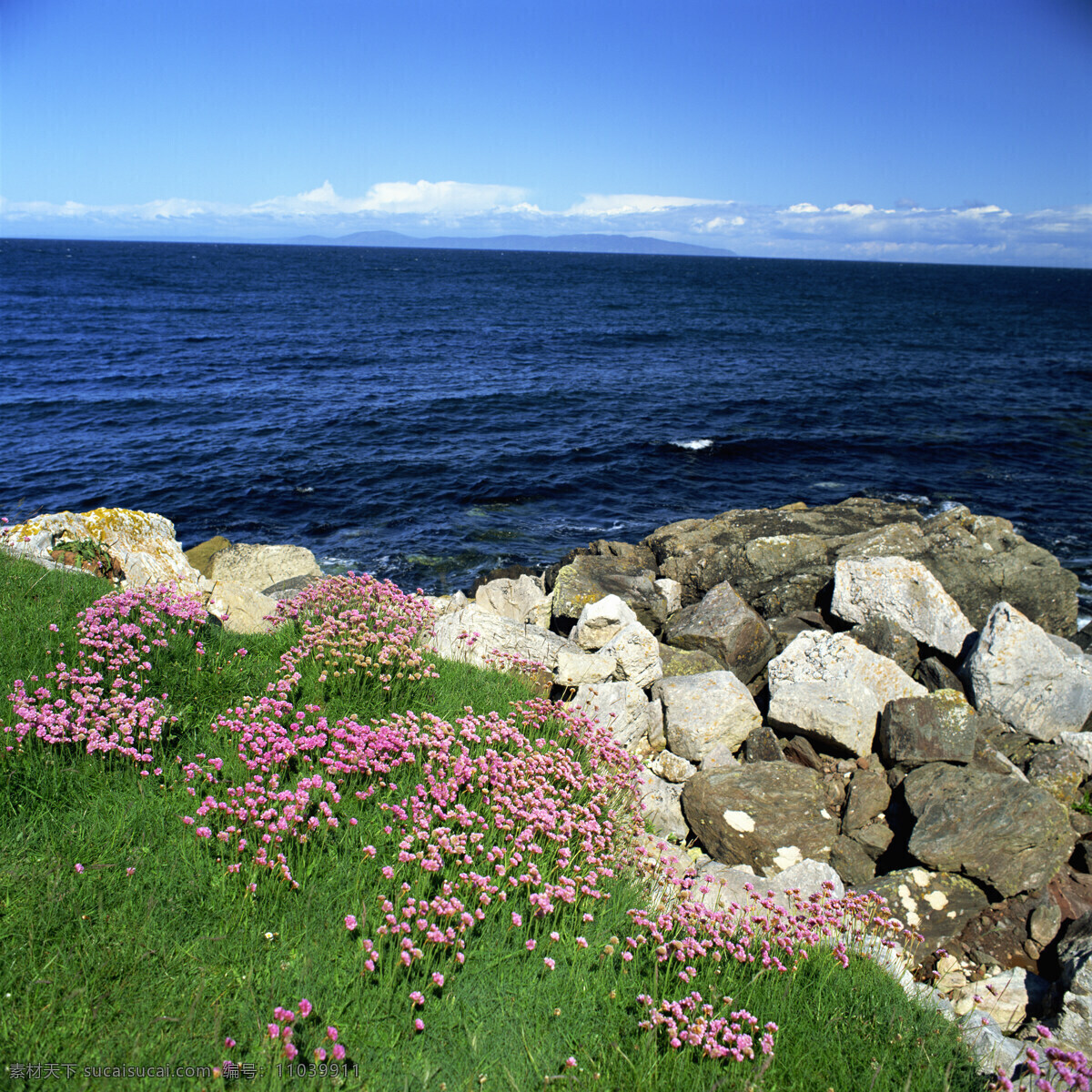 蓝天 大海 自然景观 景色 景光 白云 深蓝色 海岸 石头 岩石 绿草 鲜花 高清图片 大海图片 风景图片