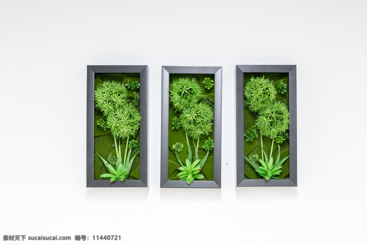 绿植 墙面 装饰 留白 绿色 白墙 室内设计 植物 装修 简约 相框创意 轻松 方糖 小镇 花 树木 生物世界 花草