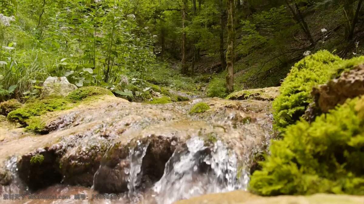 法国石溪 自然 河 岩石 苔藓 小溪 流动 水 背景 宁静 和平 安宁 涓流 滴 容忍 多石的 春天