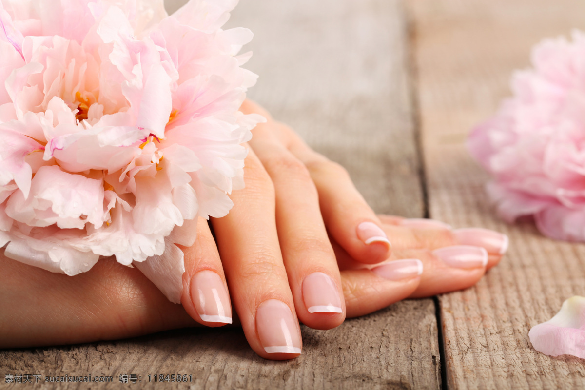 粉色康乃馨 康乃馨 粉色花朵 花卉 花朵 唯美花朵 手指