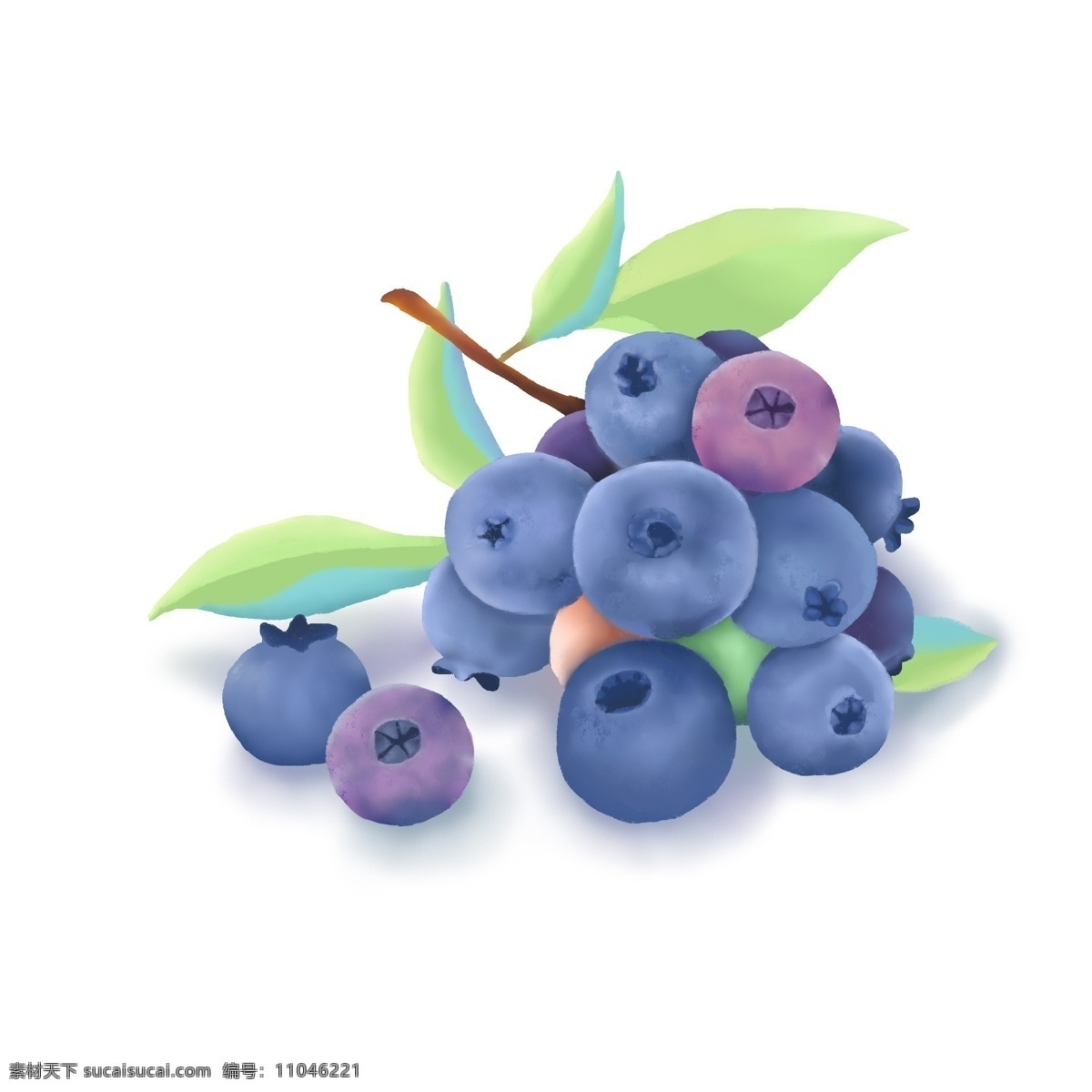 手绘 水果 枝 带 叶 蓝莓 手绘水果 手绘蓝莓 蓝色 紫色 叶子