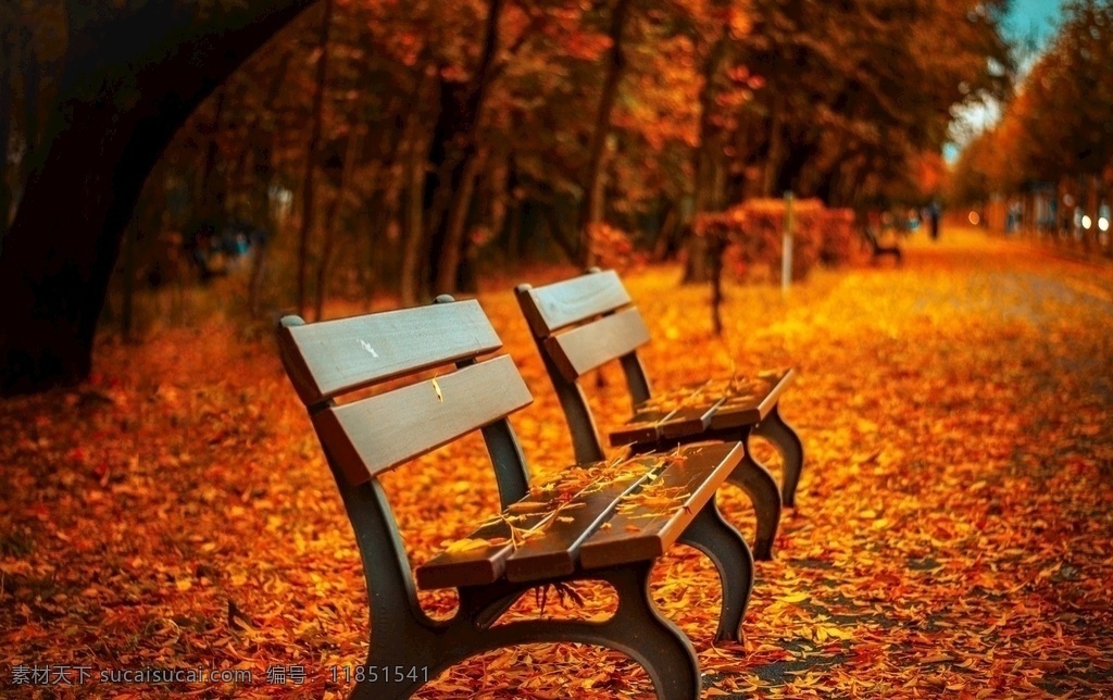 秋天座椅图片 秋天 落叶 座椅 椅子 道路 路边 叶子 秋季 黄叶 寒冷 冷清 公路 美图 高清 自然景观 自然风景