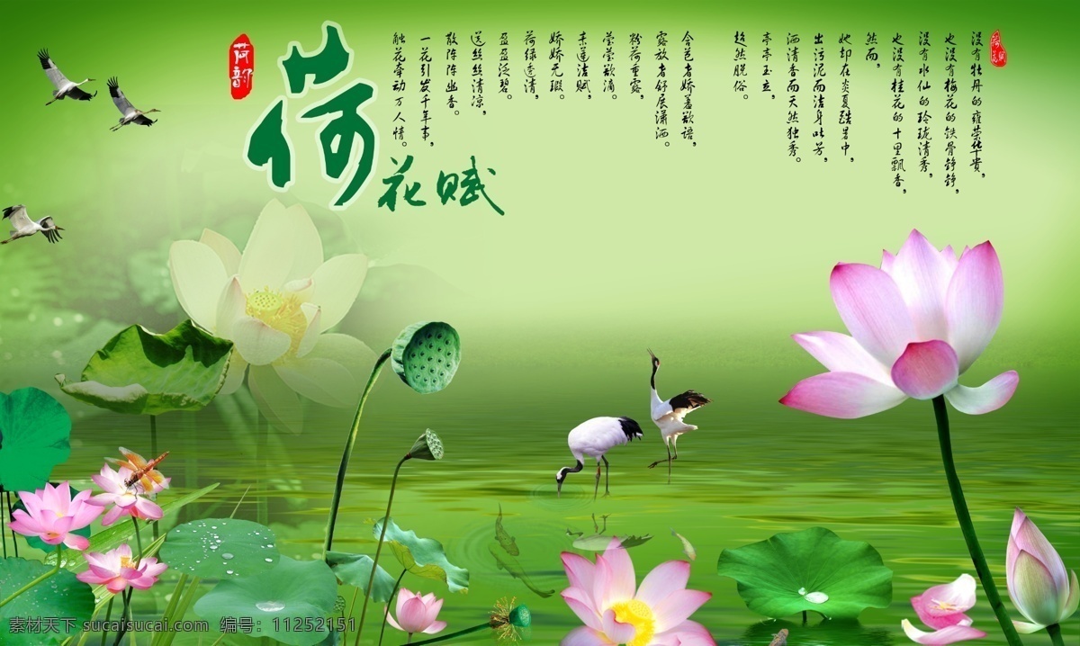 荷花赋 荷花 中堂画 自然 赋诗 诗词 中国风 自然景观 自然风光