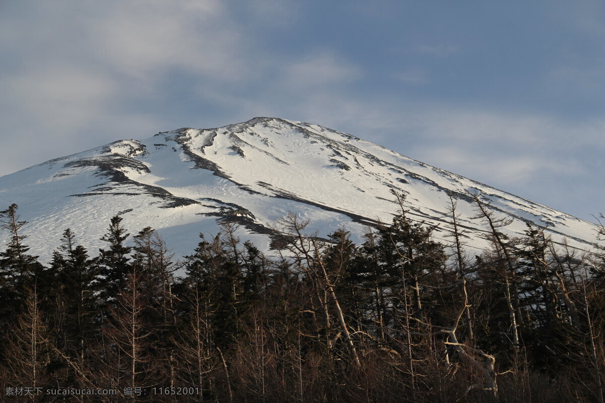 日本 风景图片 春季 风景 富士山 国外旅游 旅游摄影 日本风景 雪山 psd源文件