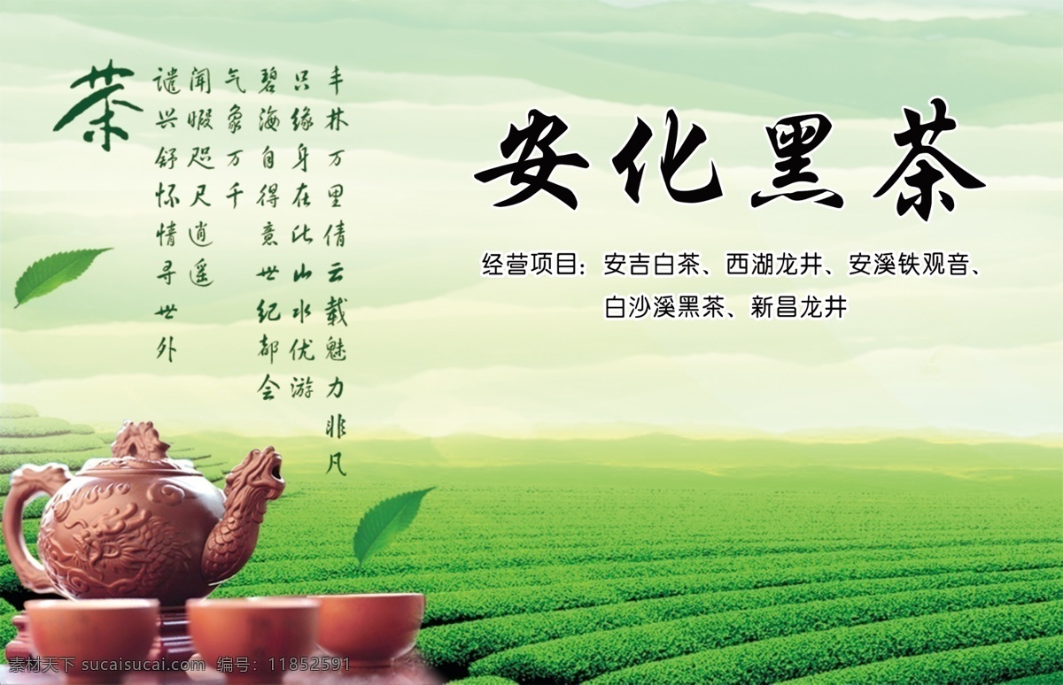 安化 黑茶 广告牌 一大片茶园 茶叶 壶具 云层 茶