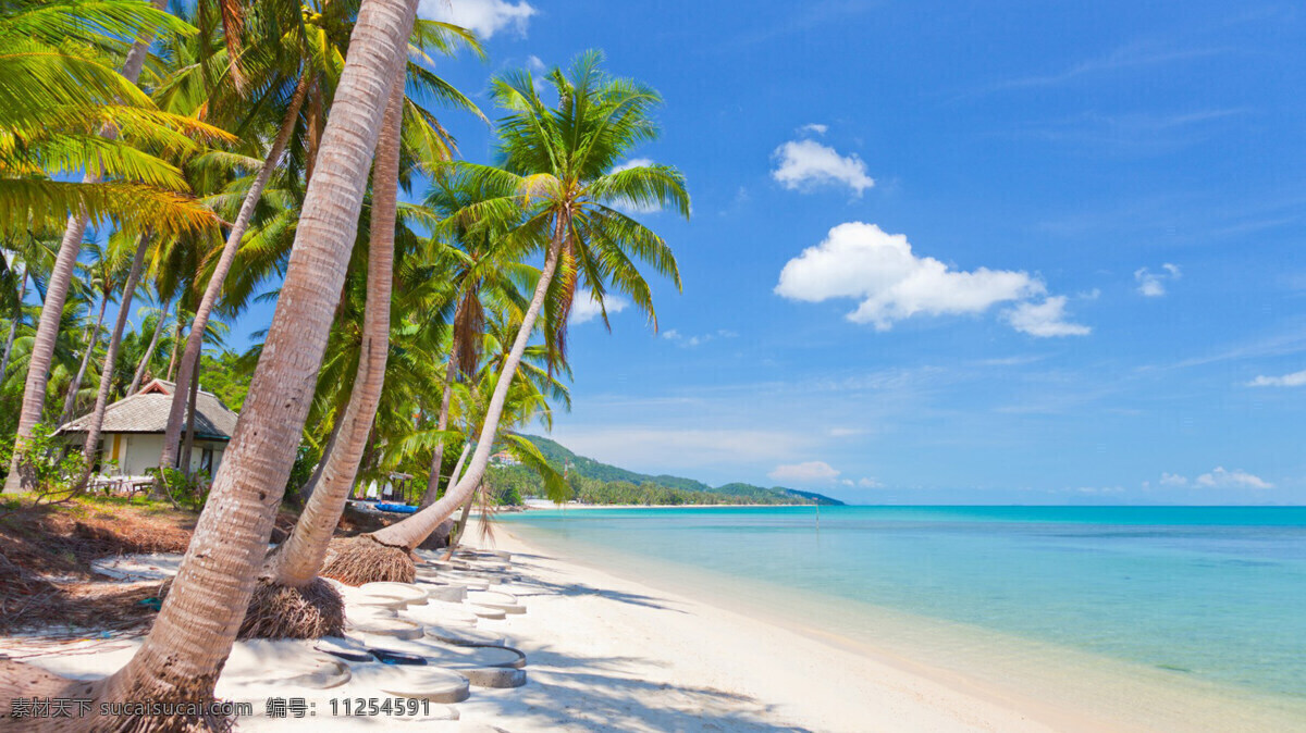 海边 沙滩 椰子树 高清 热带 自然景观 山水风景