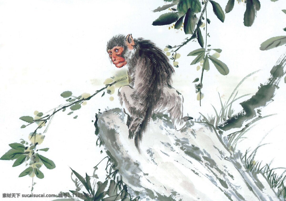 十二生肖 猴 国画 白描 生肖 动物国画 动物画 国画素材 文化艺术 绘画书法