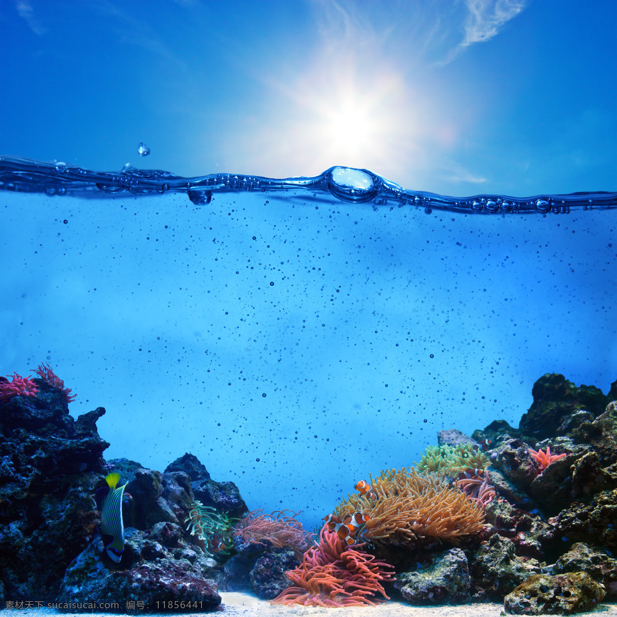 海洋世界 海底 水草 海鱼 礁石 蓝色 阳光 太阳 光效 气泡 海平面