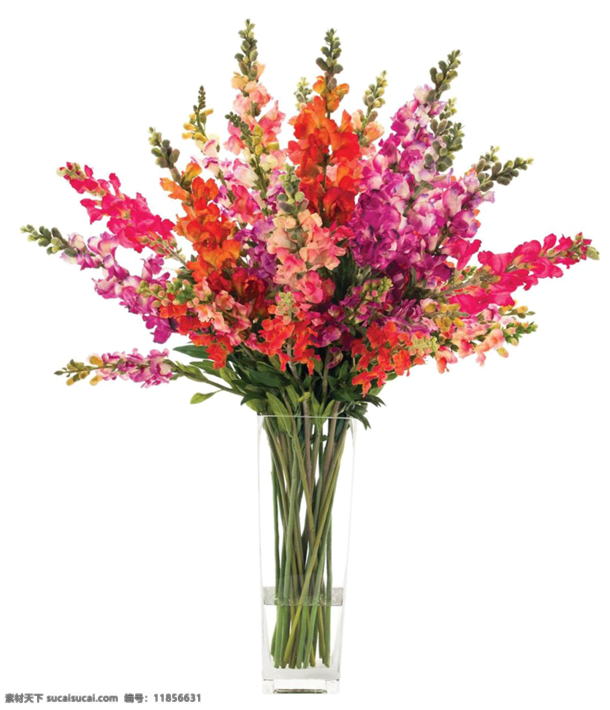 唯美 花瓶 插花 花艺设计 元素 花瓣 花朵 彩色 唯美素材 设计元素 实物鲜花