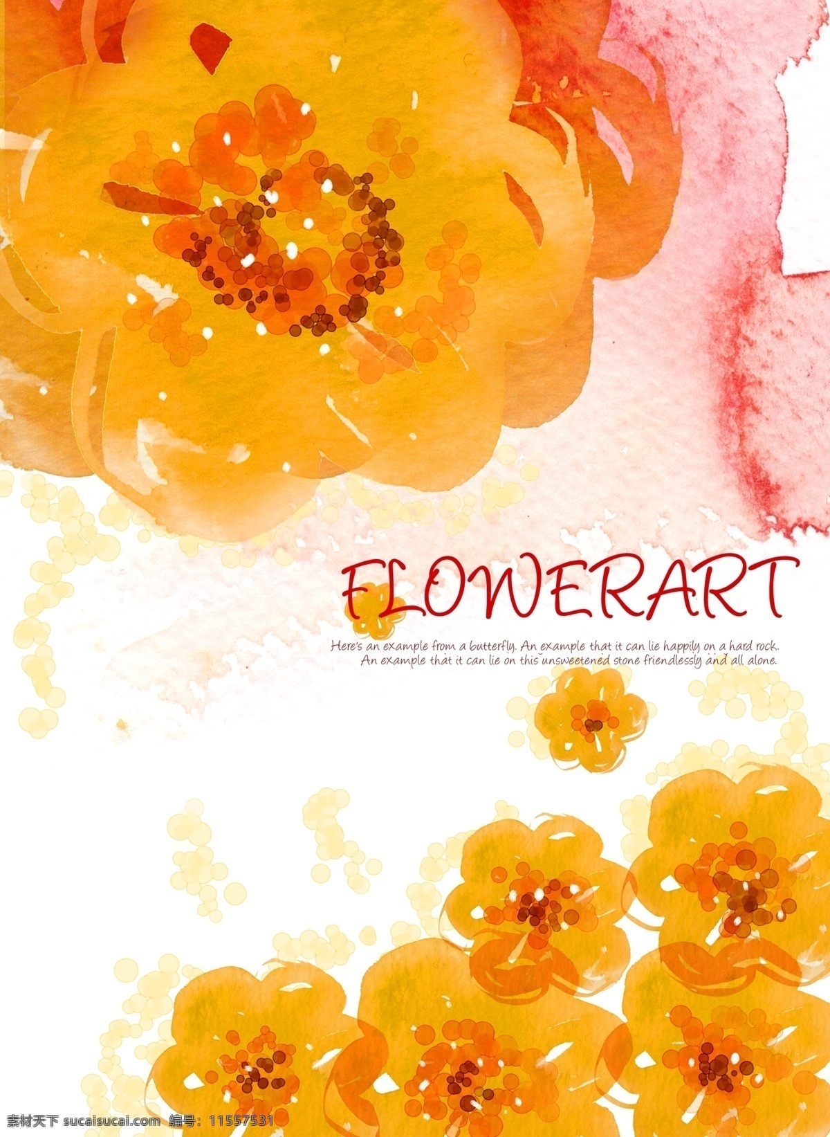 橙色花卉 水彩花卉 花卉背景 底纹背景 白色