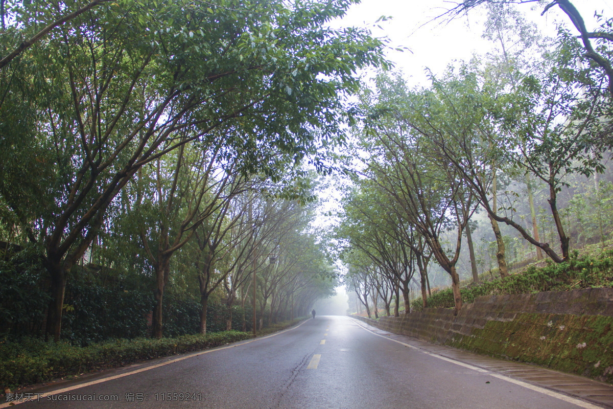 雨天 公园 树木 道路 雾霾 江边 城市 雾天 雾 大雾 滨江 重庆 云阳 阴天 房子 住宅 临江 丽江景苑 漫步 路面 公路 方向 绿树 输液 绿荫 树丛 走廊 田园 休闲 郊区 建筑园林 园林建筑