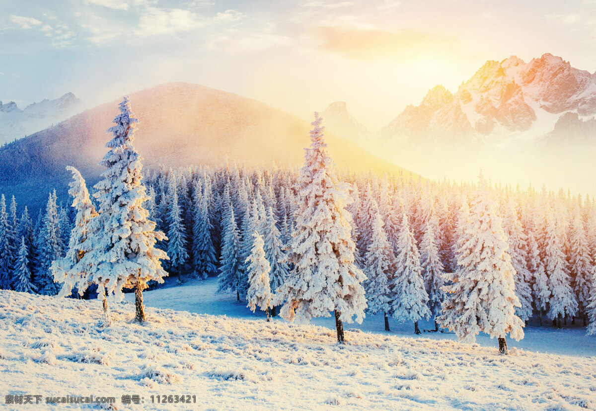 雪山 壮丽 积雪 高山 登雪山 多娇江山 自然景观 自然风景 炫酷 风景 风光 旅行 自然 秦皇岛 祖山 山 雪 雪景 雪天 冬季 冬天 冬日 冬景 夕阳 落日 日落 黄昏 傍晚 旅游摄影 国内旅游