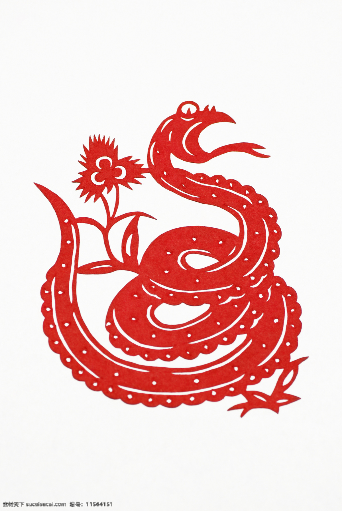 2013 年 新年 剪纸 蛇 蛇剪纸 春节素材 蛇年素材 卡通蛇 民间剪纸艺术 节日庆典 生活百科