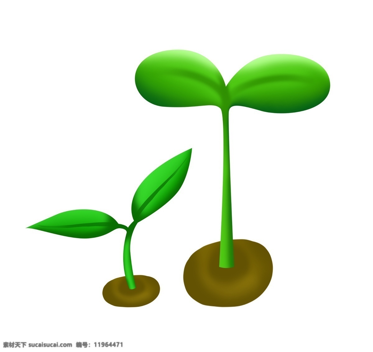 小树苗 树苗 绿色树苗 土堆 生长的树苗 树 小树 小苗 绿色植物