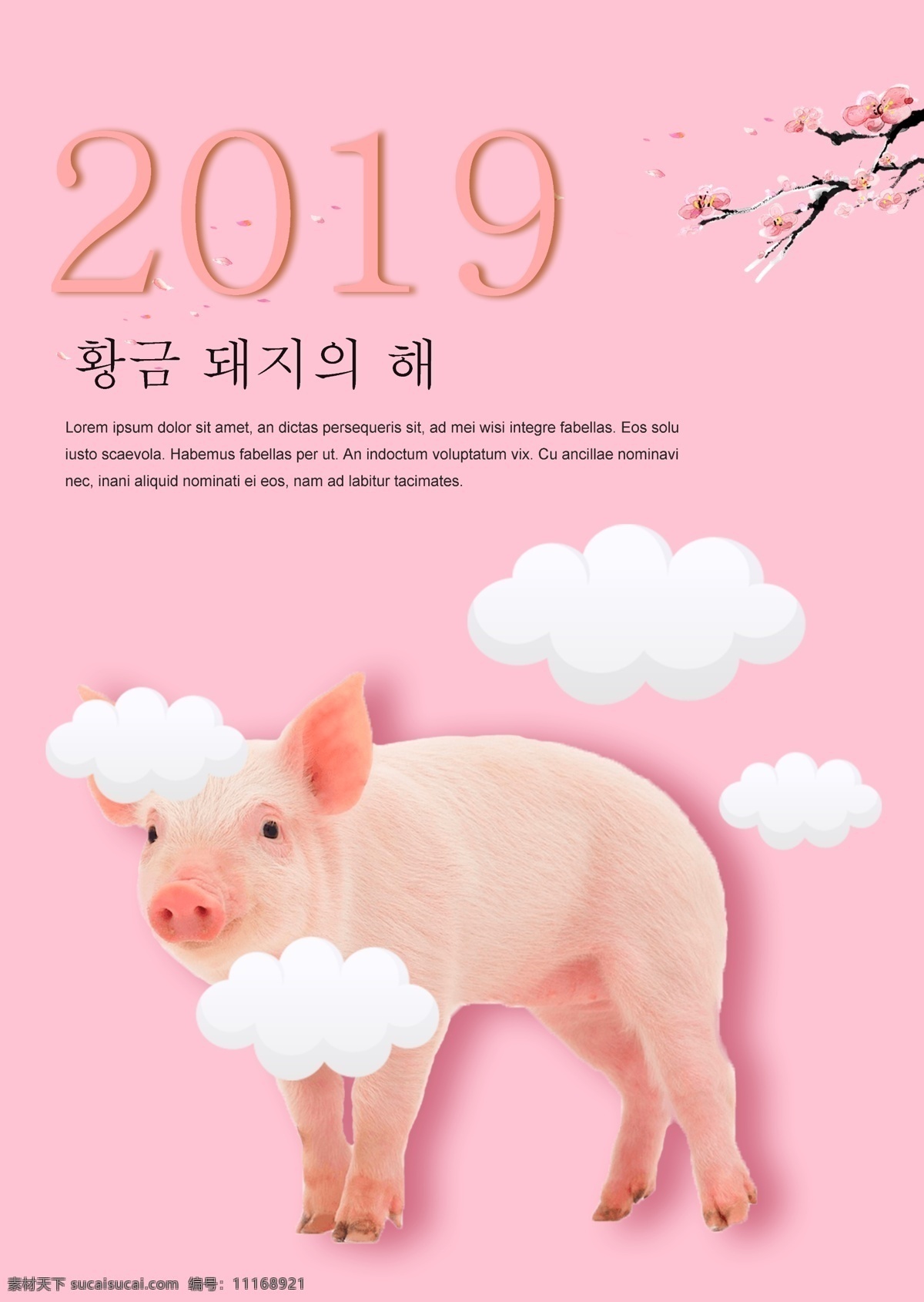 现代 可爱 小 猪 2019 年 新年 海报 小猪 粉 华丽 朝鲜的 快乐 白色 甜 愚蠢